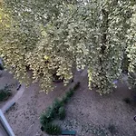 Dvor Apartment